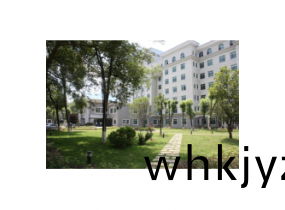 中心(xin)醫(yi)院案(an)例(li)