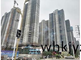碧(bi)桂(gui)園(yuan)-黃金(jin)時代
