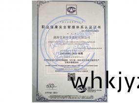 職業(ye)健康體(ti)係(xi)認證